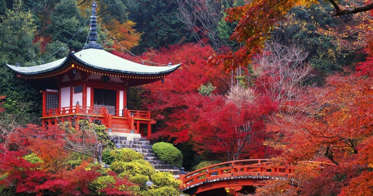 Warum müssen Sie einmal in Ihrem Leben eine Reise nach Japan unternehmen?