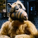 Was geschah mit den Schauspielern der Serie Alf der Außerirdische